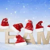 Team members